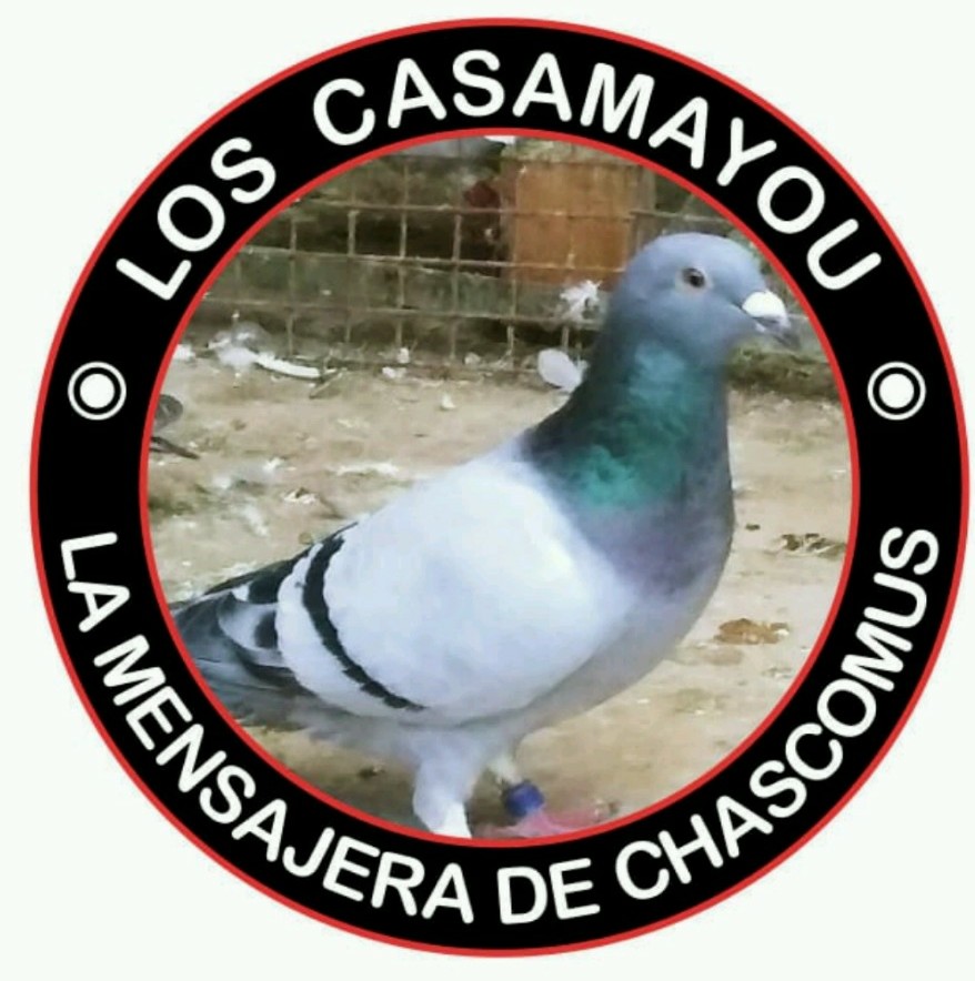 Datos de la paloma